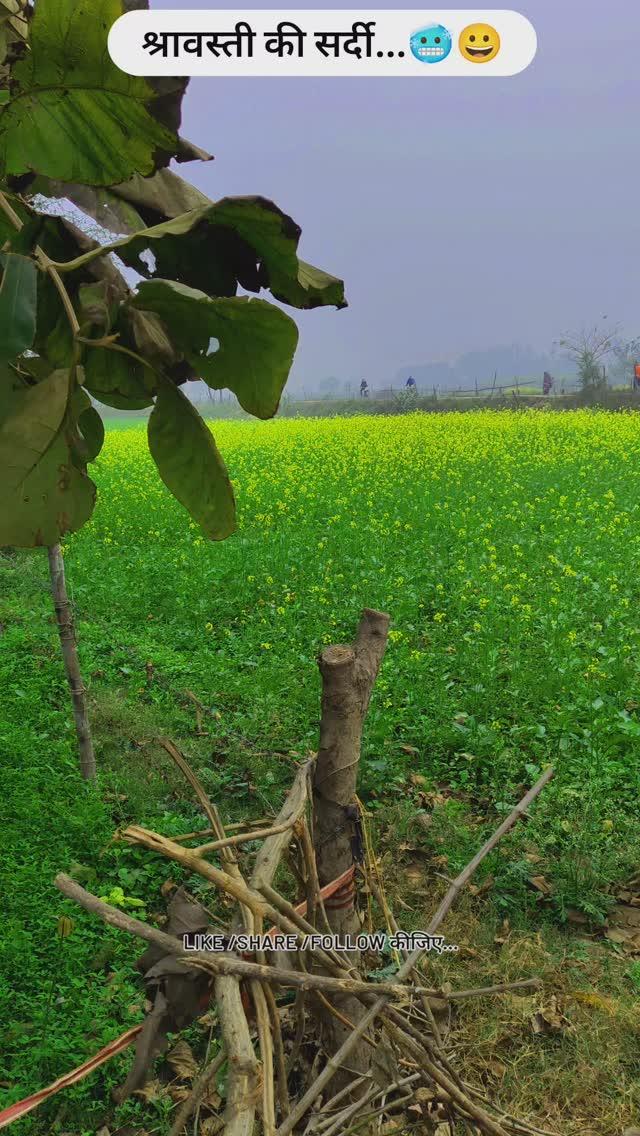 Shravasti Ki Sardi(Thandi)