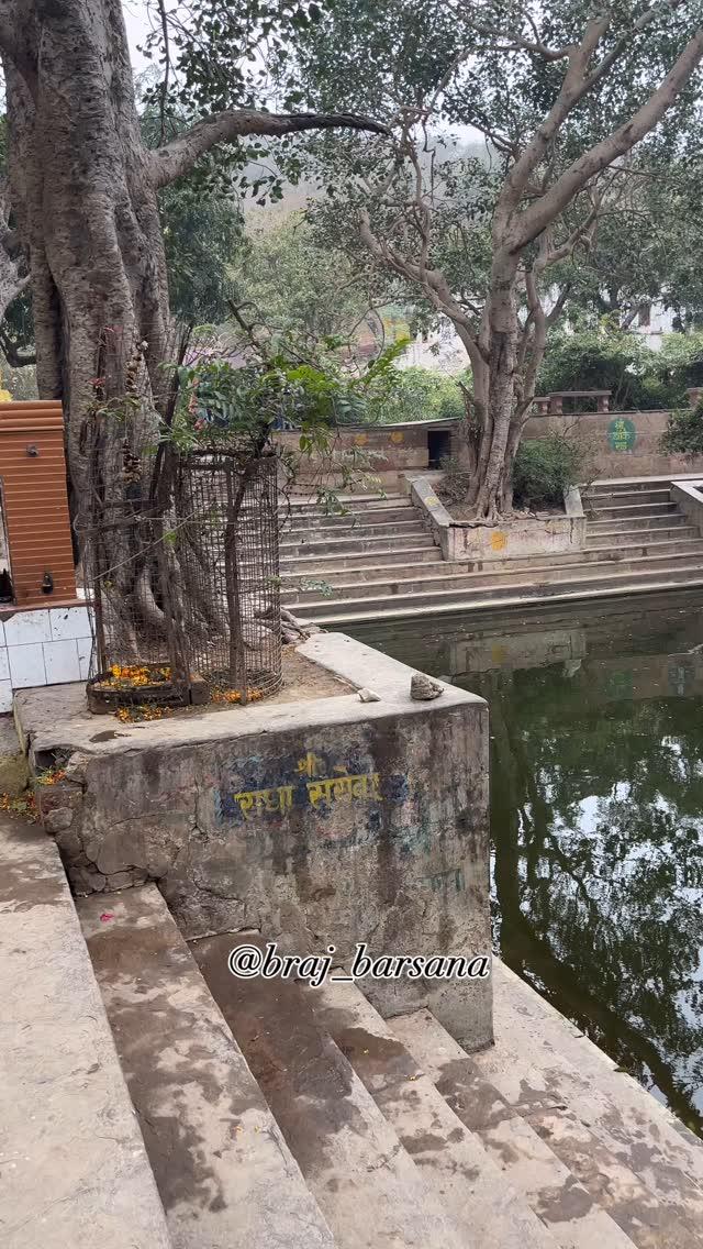 बोलो राधे राधे 🙏🥰
braj_barsana 
#radha #radhakrishna #radharani #krishna #bhakti #ladli #krishnakrishna #ladliju #shreeradha #shreeshyam #shreeradharani #shreeradhakrishna #radharadha #barsana #vrindavan #mathura