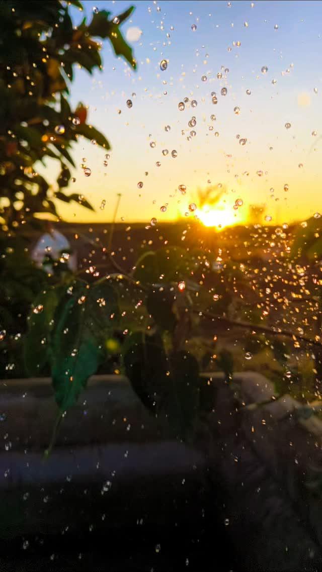 🌞❤️

instragram #reels #reel #nature #farm #alone #sky #breckup #evening #morning #naturelover #ahemdavad #surat #mehsana #kathiyavadi #emotions #akphotography #aknature96 #daily  #sabarkantha #khajurbhai instragram creator