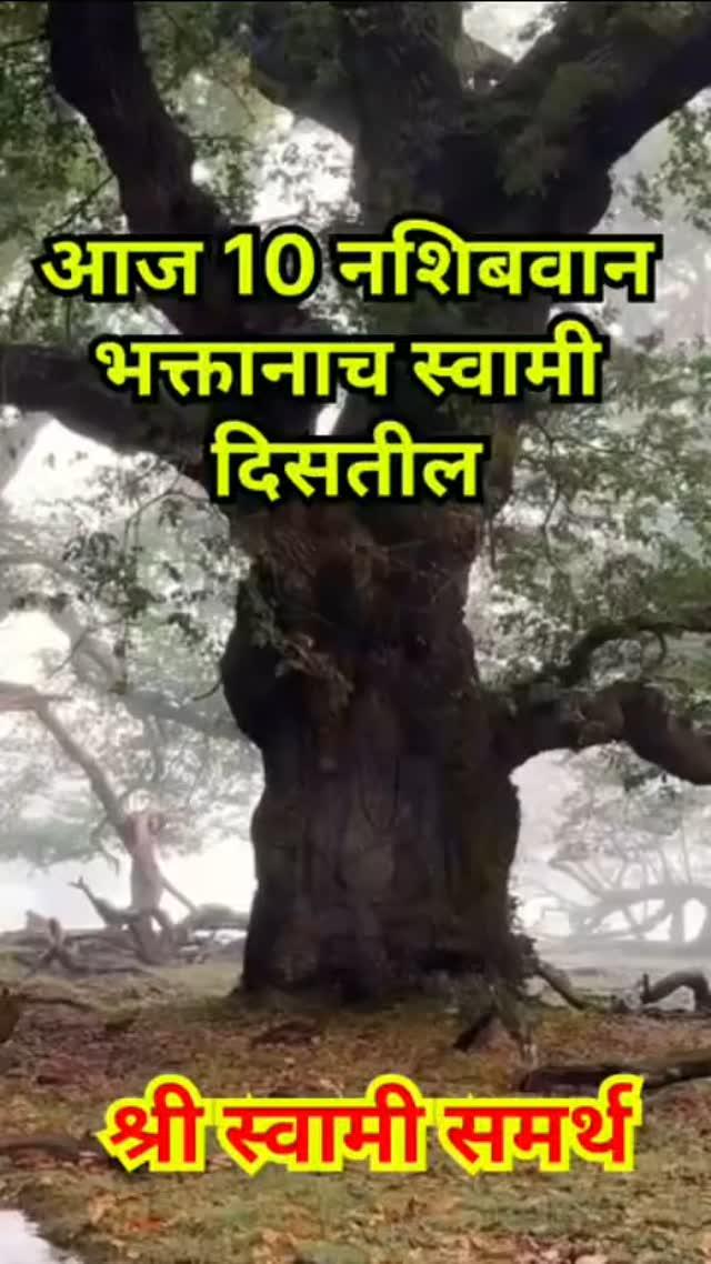 ।। श्री स्वामी समर्थ ।। 🌸🙏🏻