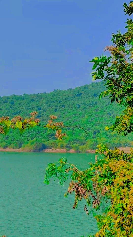 Jhumka Dam (Khordha, Odisha) Jhumuka Dam is the other minor irrigation project located close to Deras
This is located on the sanctuary boundary, thus there is no need of any permission from forest department to visit this place
This location is mostly used by locals and tourist groups for a picnic during December-January winter vacation schedule
It attracts tourists for its scenic view
most of the tourist comes to the place in the rainy days as the dam get full of water and it satisfying to watch that view full of water in Dam and people also take bath in the Dam water and enjoy the place
if you are planning to do spent a complete day this is the perfect place I would recommend
There are small villages available n the jungles of Chandaka
odishatravel #reels #viral #trending

#odisha

#odishaaah

#odishatourismofficial

#odishatourism

#niftbhubaneswar

#odishagram

#instaindians_

#icredibleindiaoffical

#bhubaneswar

#rourkela

#sundargarh

#chaloodisha

#berhampur #puri

#bbsr #odishagram

#cuttackdiaries

#cuttack

#jhumkadam

#bhubaneshwarbloggers

#bhubaneswar

#koraput

#koraputdiaries

#bhubaneswar
bhubaneswardiaries