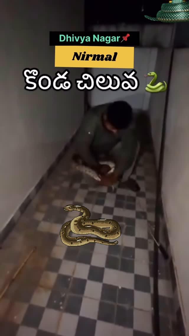 #snake 🐍