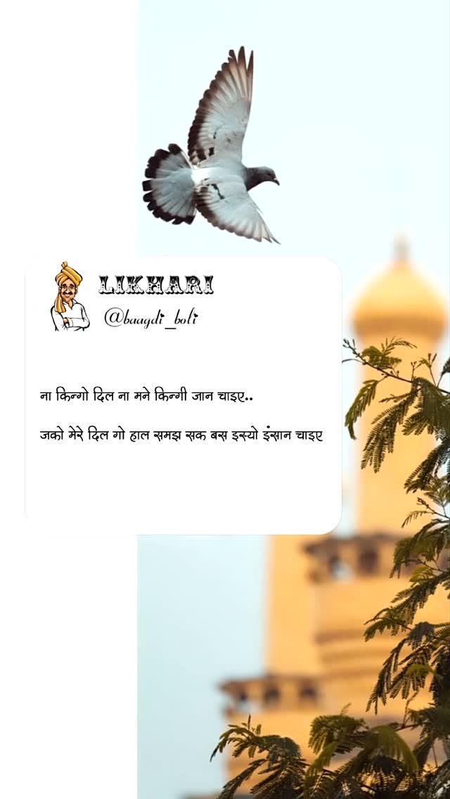 🙂🙂

पोस्ट किंया लागी जरूर बताईयो ♥️
____- - - - ____

पेज आच्छो लागयो तो फॉलो जरूर करीयो 🙏

कर्ता धर्ता 👉  baagdi_boli 
_____
_____

#baagdi_boli 
______
______

#baagdi #bagdi #hanumangarh #rajasthan #haryana #punjab #india #trending #viral #shayari #sangaria #sirsa #abohar #sriganganagar #fazilka #hisar #fatehabad #tibbi #suratgarh #anupgarh #bikaner #shobi_bishnoi #bishnoi🥰 #pilibanga #dabwali #gilwala #rawatsar
_____
_____