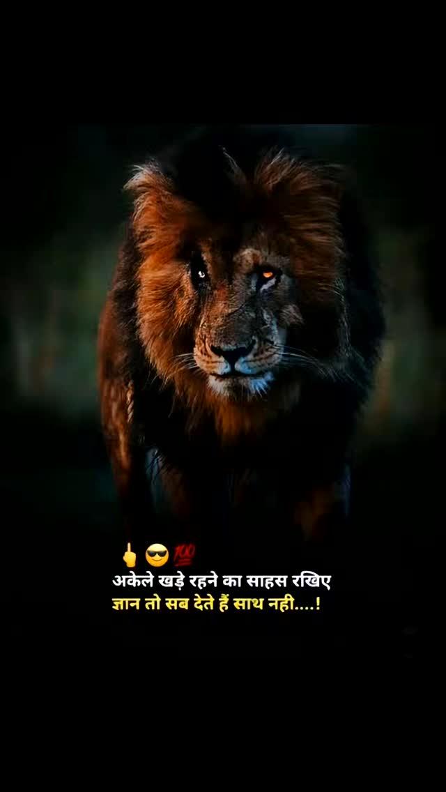 #🤟😈आजाद_परिंदे🤟👑🦁
 #motivation #sayeri #reelsinstagram #viralreels #viral #tranding #travelphotography #public #followforfollowback #viralreels #jaysreemahakal🚩🙌🔥 #seonimp22 #seoni #viralseoni ##followｍe #