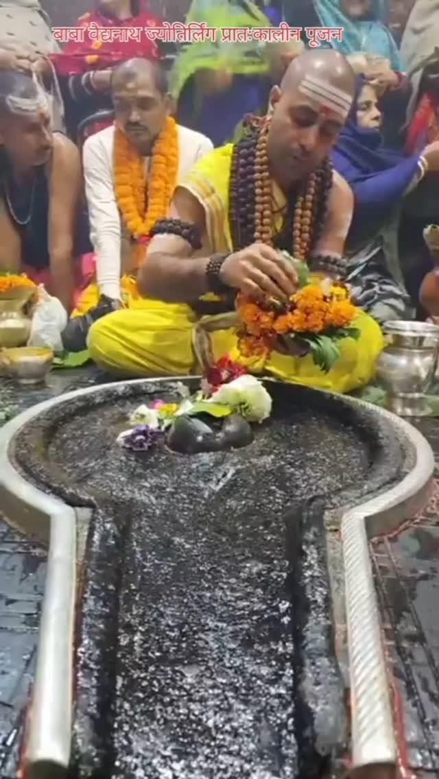 🌺🌿⚘️ बाबा वैद्यनाथ ज्योतिर्लिंग का प्रातःकालीन पूजन 🌺🌿⚘️ 09/01/24