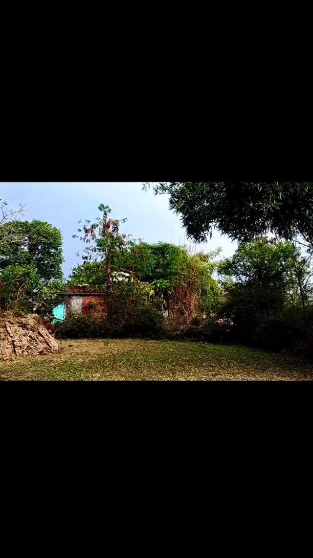 Winter||Rain 🍃

📍Raisen , dindori 

#nature #forest #raining #ａｅｓｔｈｅｔｉｃ #aesthetic #sukoon #peace #bhopal #raisen #davinder_photography#वायरल #ट्रेडिंग #रील्स ैIP🇬🇧🏍️ प्राप्त करे! 2024 समाप्तहो चुका है, और यह वर्ष असाधारण होने जा रहा है!🎉

अधिक रेस, एक नया टर्रिक, और #MICHELIN पावर टायर इसेएक नए स्तर पर ले जाने के लिए तैयार हैं।🚀 और भी अधिकपकड़ और स्थिरता के साथ, हम ट्रैक पर कुछ वास्तव मेंरोमांचक और रोमांचकारी एक्शन के लिए तैयार हैं। एकशनको रोमांचकारी होने दें।🏁🇨🇵

🇬🇧🏍️ेई MotoGp के प्रशंसक, तैयार रहें! 202% का मौसमअंतिम समय पर होगा, और यह वर्ष अपवादों से भरा होगा!🎉प्लस डी कोर्स, नया सर्किट और हवा#MICHELINPower एक क्रैन की उत्तेजना को बढ़ाने के लिएतैयार है। 🚀अधिक से अधिक पालन और स्थिरता के साथ
#वायरल 
ट्रेडिंग 
रील्स
क्या #FrenchGp सप्ताहोत था

🇨🇵#MICHELINPOwer

रेज के टायरों की शानदार पकड़ और स्थिरता के कारण ट्रैकपर रिकॉर्ड, स्टैंड में रिकॉर्ड, अविश्वसनीय दौड़ से लेकरअविस्मरणीय क्षणों तक, यह एक बेहतरीन रेसिंग सप्ताहांत केलिए नुस्खा था। धन्यवाद ले मैंस, और अगले साल मिलते हैं!फ्रंस का ग्रांड प्रिक्स!🇨🇵🇨🇵