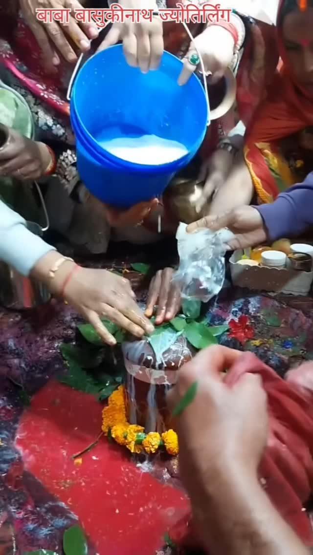 🌺🌿⚘️ बाबा बासुकीनाथ ज्योतिर्लिंग पूजन 🌿🌺⚘️