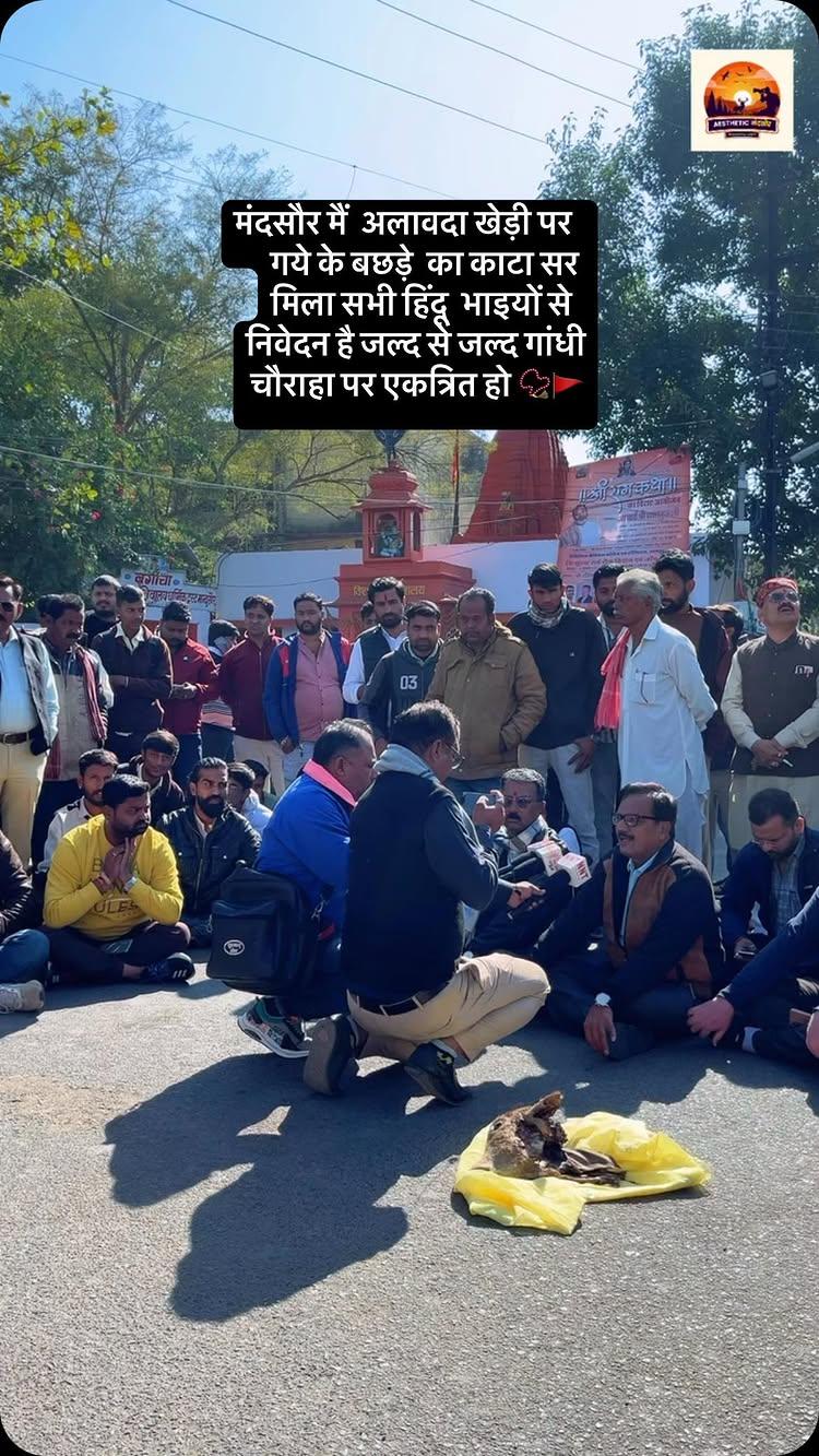 गो माता के साथ अत्याचार नहीं सहेगा हिंदू ,सभी भाई जल्द से जल्द गांधीचौराहा पर एकत्रित हो 📿🚩

Follow aesthetic__mandsaur