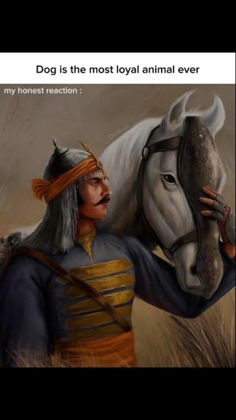 The loyalist horse 🐴 
#rajasthan #India #chittorgarh #horse #king #loyal 
Credit-dxsh.cc