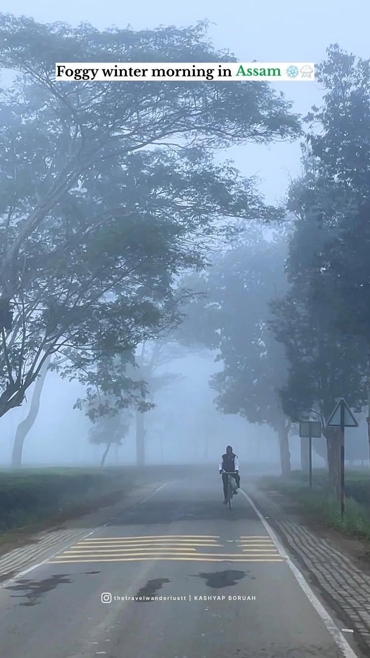 Foggy winter in Assam !

📍Charaideo , Assam