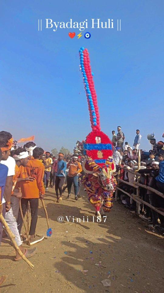 ಬ್ಯಾಡಗಿ ಹುಲಿ 💙❤️