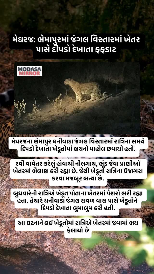 #modasa #modasamirror #aravalli #gujarat #sabarkantha #himmatnagar #ahmedabad #amdavad #news #gujaratinews #gujju #instanews #instagramnews #