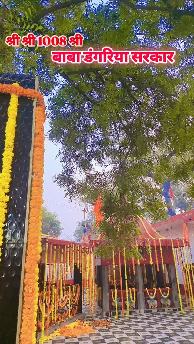 श्री श्री 1008 श्री डंगरिया बाबा का दरबार❣️