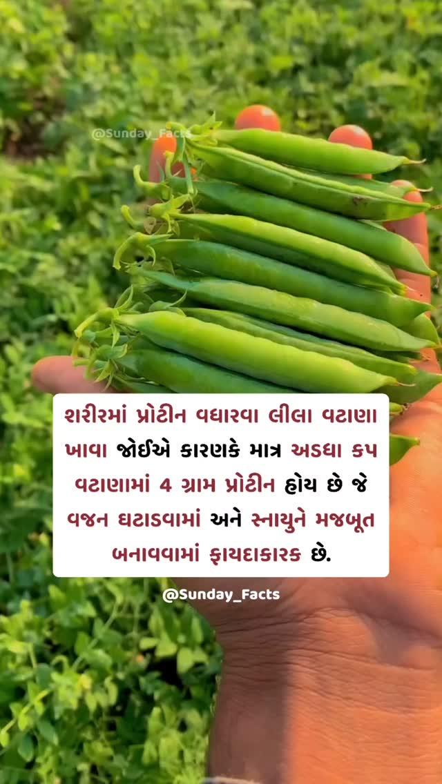 દરરોજ અવનવું જનરલ નોલેજ જાણવા માટે ફૉલ્લો કરો 👇
sunday_facts 👈
sunday_facts 👈
sunday_facts 👈
sunday_facts 👈
sunday_facts 👈
sunday_facts 👈