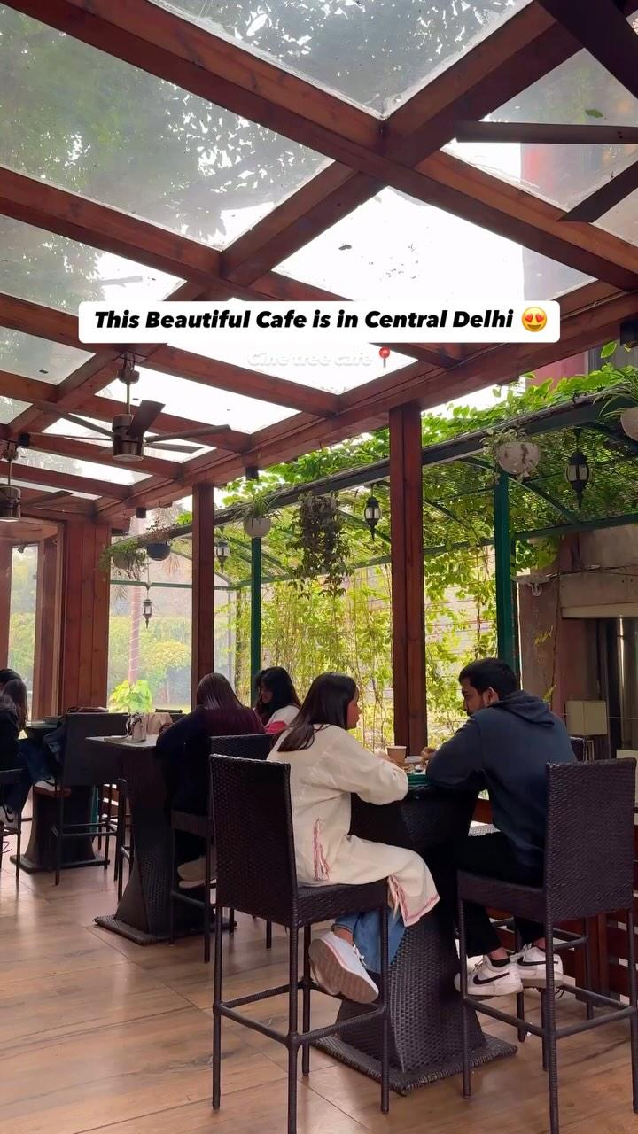 Location: Cine Tree Cafe,  Inside Constitutional Club of India📍

⏰Timings: 11 am–5 am
🚇Nearest Metro station: Patel chowk