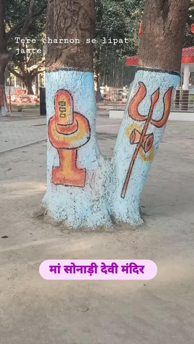 मां सोनाड़ी देवी मंदिर चौक बाजार