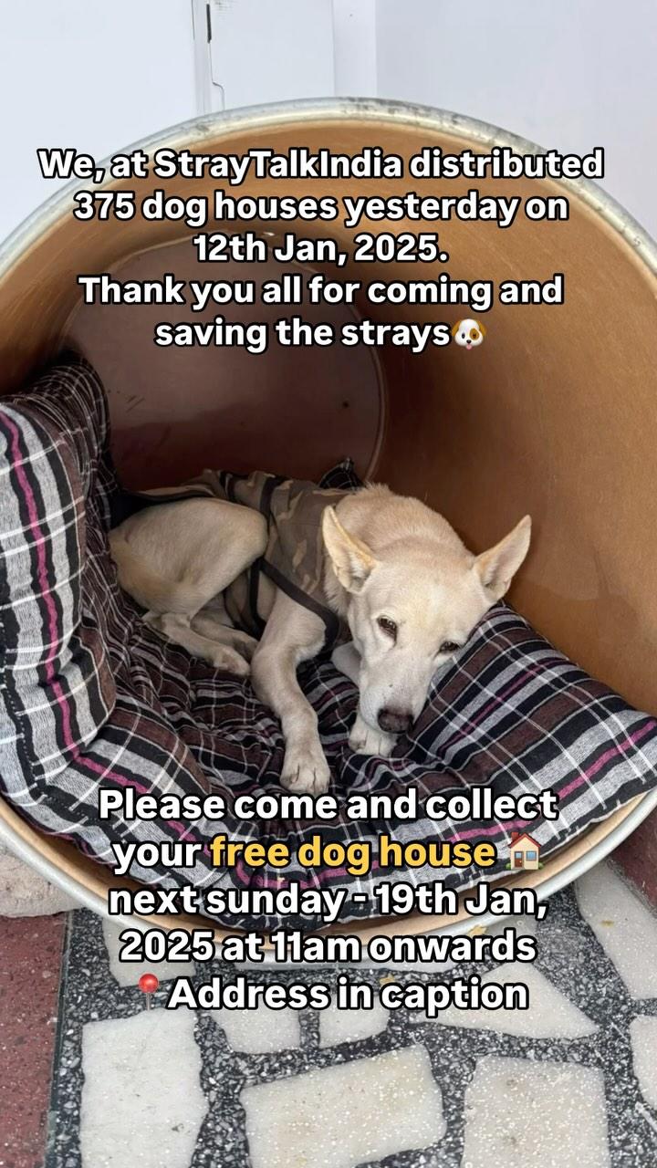 📍A-13/36 DLF Phase 1, Gurgaon
Come and collect your free dog house🐶🏠