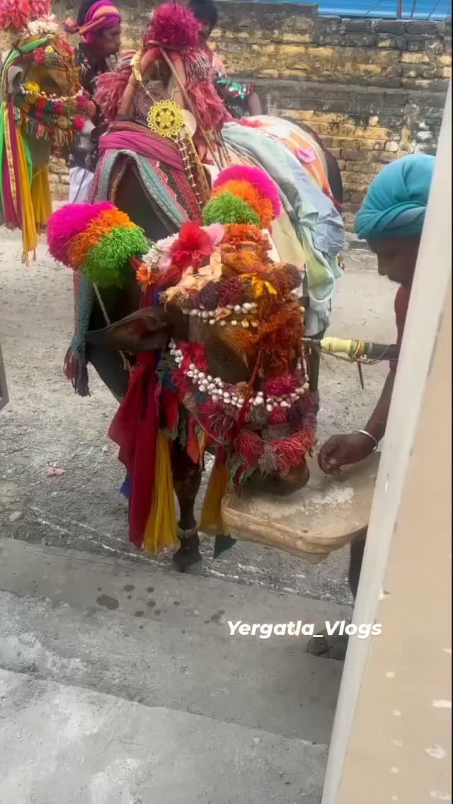 🙏YERGATLA  ప్రజలందరికీ సంక్రాంతి శుభాకాంక్షలు🙏🌾💫🕉️🚩