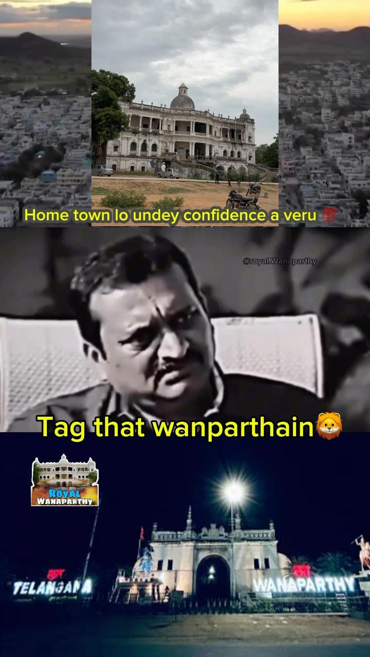 Tag that wanaparthy puli🦁