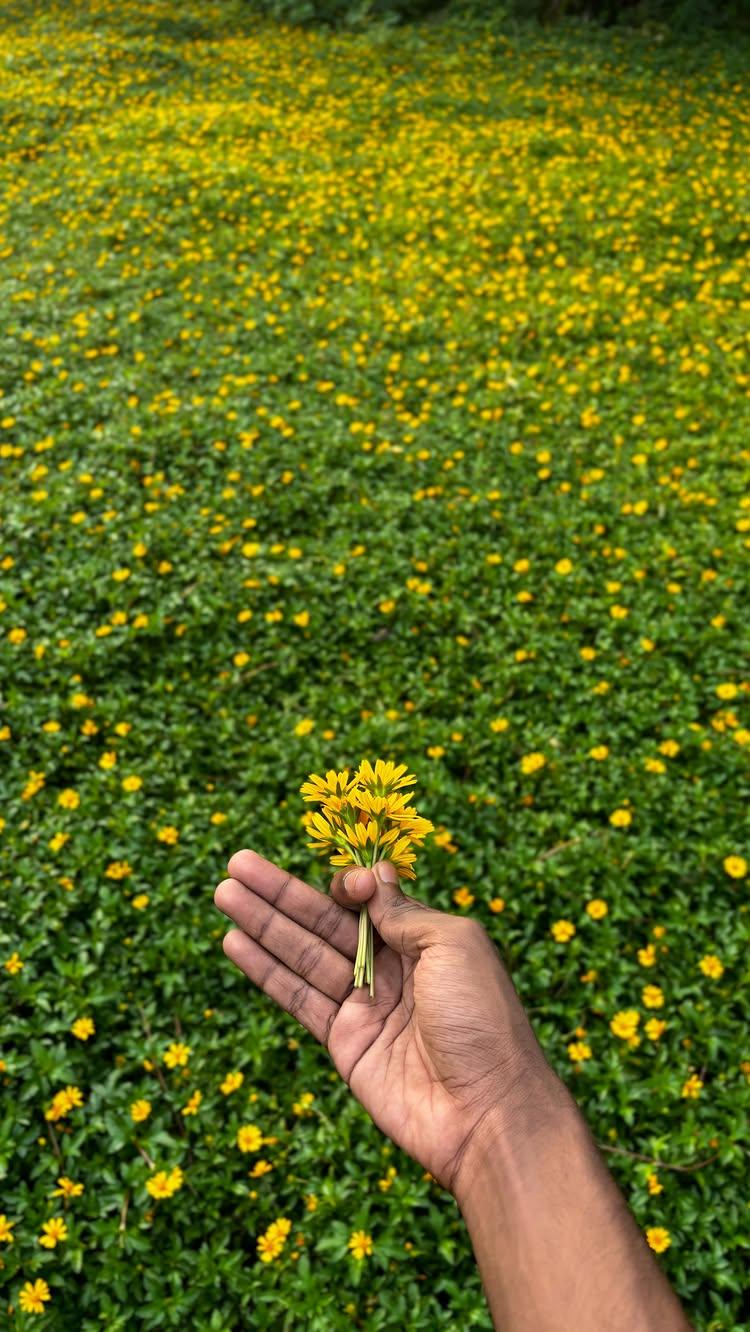 കഥയിത് തുടരുകയോ
n4eemo.എടുത്തത് 
 സ്നേഹം മാത്രം lakshmiipriyaa ❤️