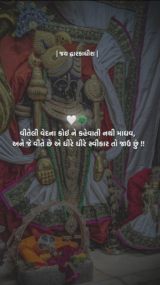 🤍🦚

વીતેલી વેદના કોઈ ને કહેવાતી નથી માધવ,
અને જે વીતે છે એ ધીરે ધીરે સ્વીકાર તો જાઉં છું !!

👀  પોસ્ટ ગમે તો સપોર્ટ બતાવ જો ❤️
✅  લાઈક શરે અને કૉમેન્ટ કરજો
adhuraashh
✅ adhuraashh 

#adhuraashh#dwarkadhish #krishna #dwarka #radheradhe #radhakrishna #radhekrishna #murlidhar #kanha #harekrishna #radhe #radharani #radheshyam #radha #jaydwarkadhish #lordkrishna #vrindavan #radhakrishn #kanudo #mathura #madhav #temple #god #krishnalove #hindu #jayshreekrishna #gokul #krishnaquotes #dakor

👀  પોસ્ટ ગમે તો સપોર્ટ બતાવ જો ❤️
✅  લાઈક શરે અને કૉમેન્ટ કરજો