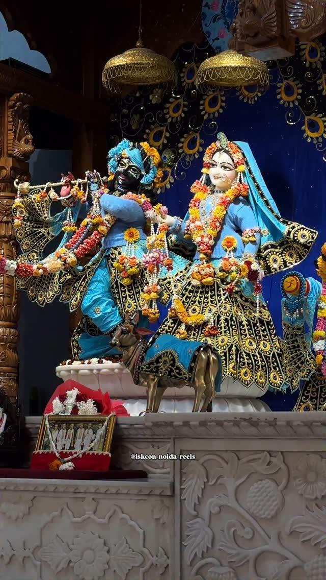 Hare Krishna 🌸
Follow for more iskcon_noida_reels