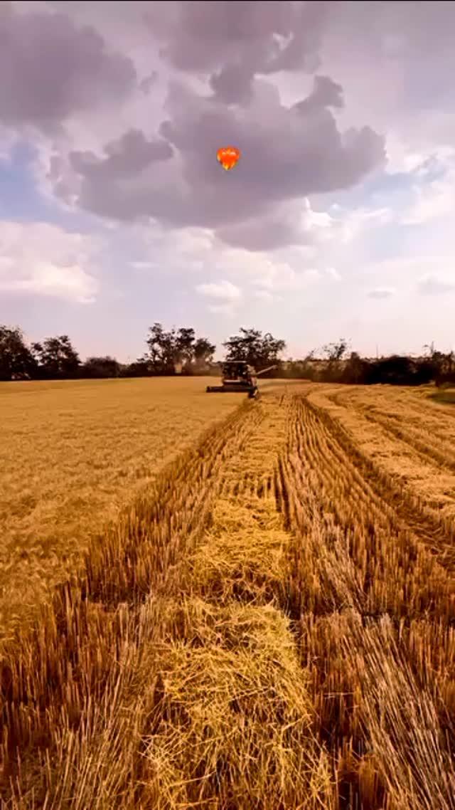 Preet🥰🥰👳🏻🌾

#sonalika #shikandar #sonalika50
farmer #farmlife #jaatlife

#jaat #jaatmindA #patel#pani

#swaraj#jonhdeere#jimidar

#newholland#3630 #3002

#744fe#vidisha#bhopal#jonhdeer5305
#viralvideo#jaat
2 days ago